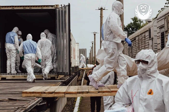 Die Ukraine hat 1,2 Tausend gefallene Verteidiger zurückgegeben