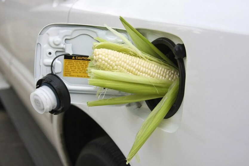 Adding Alcohol to Gasoline: Ukraine Has Decided on Fines for Gas Stations